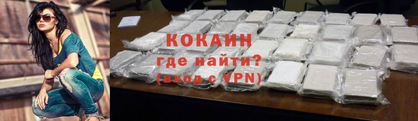 ECSTASY Горняк
