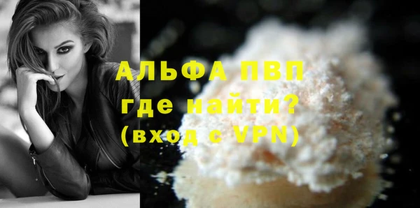 ECSTASY Горняк