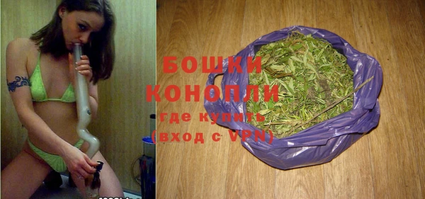 ПСИЛОЦИБИНОВЫЕ ГРИБЫ Горнозаводск