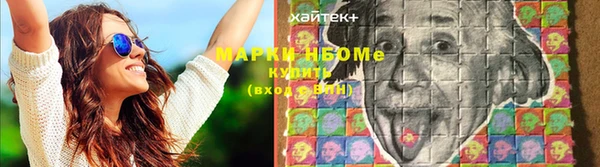 ГАЛЛЮЦИНОГЕННЫЕ ГРИБЫ Гусиноозёрск
