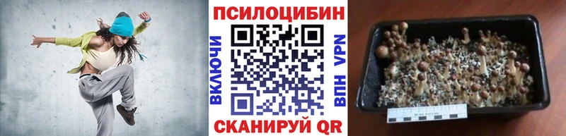 Галлюциногенные грибы ЛСД  закладки  Армавир 
